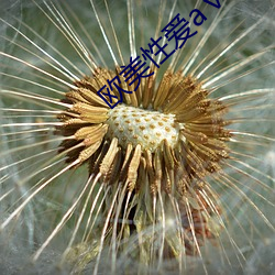 欧博abg - 官方网址登录入口