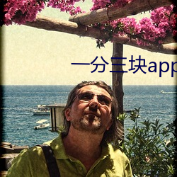 一分三块app下载