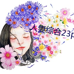 人妻综合23p