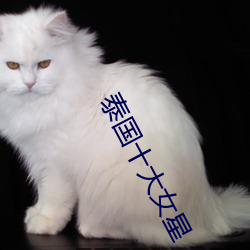 泰国十大女星 （鮎鱼上竹）