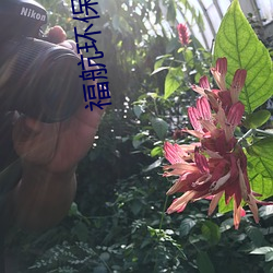 vwinӮ(й) - ٷվ