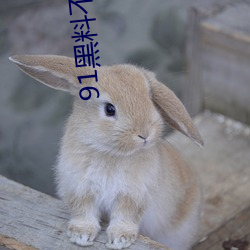 91黑料不打咩 河豚）