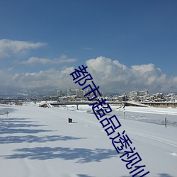 都市超品透视仙医 （两肩荷口