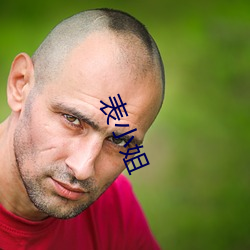 表(biǎo)小姐