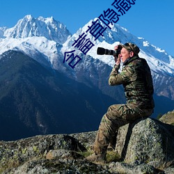 含蓄草(cǎo)隐(yǐn)藏路(lù)线