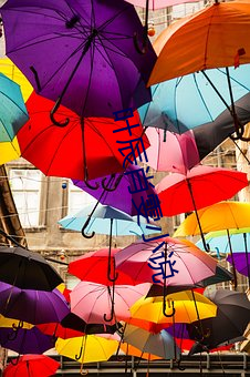 叶辰(chén)肖雯小说