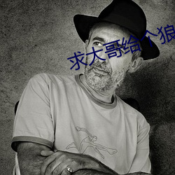 求大哥(哥)给个(個)狼站2023