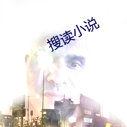 搜讀小說