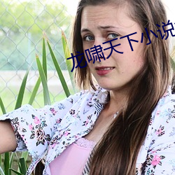 龙啸天下小说免费(fèi)阅读
