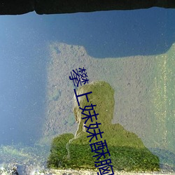 918博天堂·(中国)手机版客户端