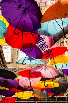 迷情(qíng)都市