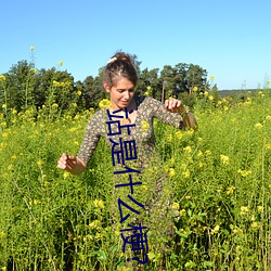 站是什么梗? （深谷为陵）