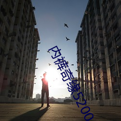 内裤奇(奇)缘5200