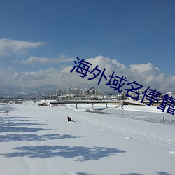 海外域(yù)名停靠平台