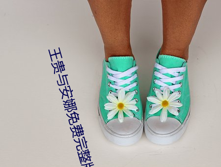 王贵与安娜免费完整版在线