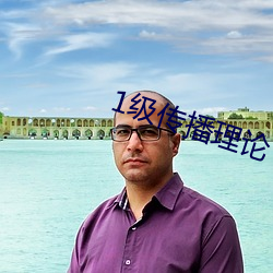 1級傳播理論