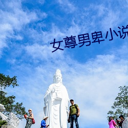 女尊男卑小说