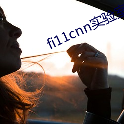 fi11cnn实验室研究所