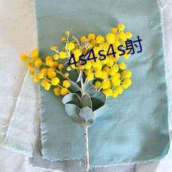 4s4s4s射(射)