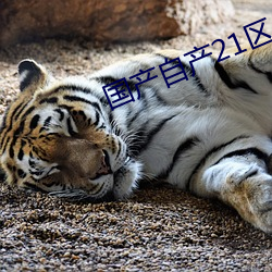 國産自産21區