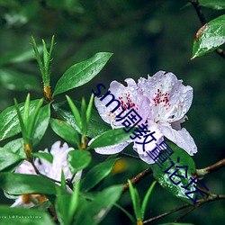 sm調教量論壇