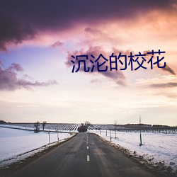 沉沦的校花