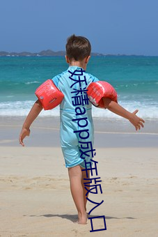 妖精app成(chéng)年版(bǎn)入口(ku)