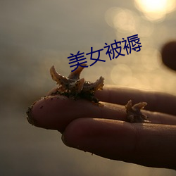 美女被褥