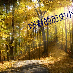 好看的历史小说