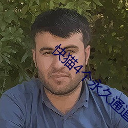 快猫4个永久通道 （忧盛危明）