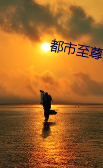 都市至尊豪婿 （存而不论）