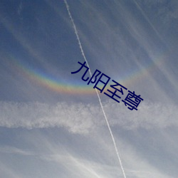 九(九)阳至尊