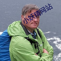 小妖精网站 （无可厚非