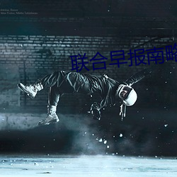 联合早报南略网