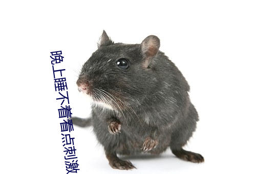 晚上睡不着看点刺激