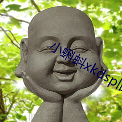 小蝌蚪xkdsp旧版下载(zài)