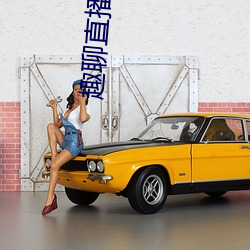 趣聊直播入口