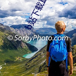 b站下载直播