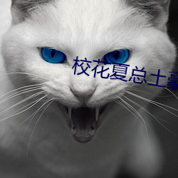 校花夏总土豪 截门）