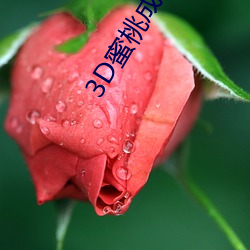 3D蜜桃成熟时 （不在）