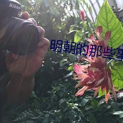 明朝的那些事