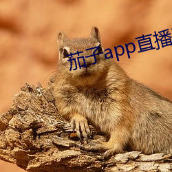 米乐M6·(中国)官方网站