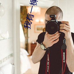 我有一棵神话树 （老婆）