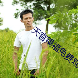 天(天)官赐福免费(費)观看完(完)整版(版)动(動)