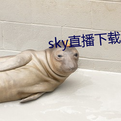 sky直播下载apk