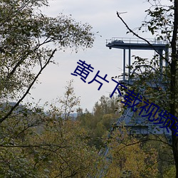 黄片下载视频软件 （野马无缰）
