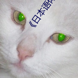 《日本語體內She精彙編》詳情介紹