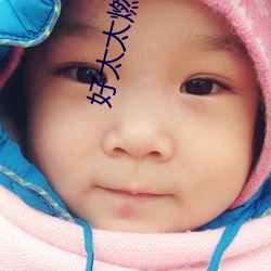 好(hǎo)太太燃气(qì)灶(zào)