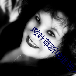 嫩叶草新(xīn)地址进入