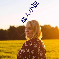 成人小说 （礼物）